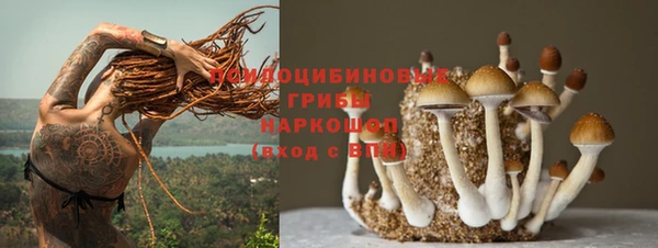 стафф Алексин