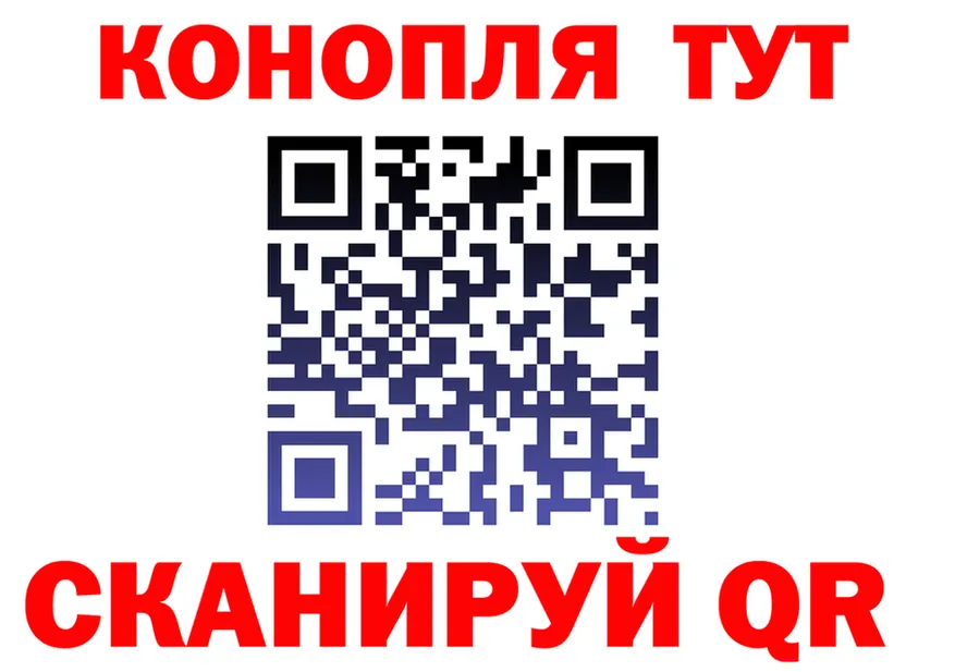 Альфа ПВП СК КРИС сайт площадка блэк спрут Вилючинск